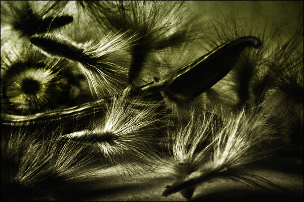 20120311141708_passageres_du_vent_ 20120311141708_passageres_du_vent_