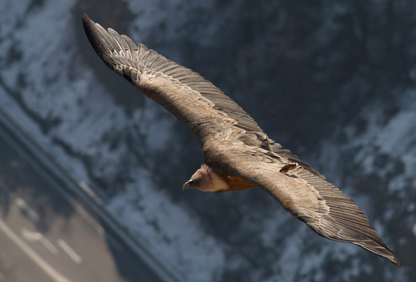 20120313223804__dsc2542b 20120313223804__dsc2542b