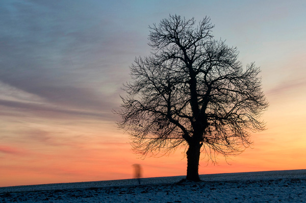 20120313223852_le_temps_qui_passe 20120313223852_le_temps_qui_passe