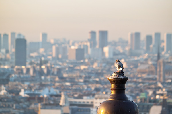 20120313224618_competencephoto_expooriginale_act2_dupuisemmanuel 20120313224618_competencephoto_expooriginale_act2_dupuisemmanuel