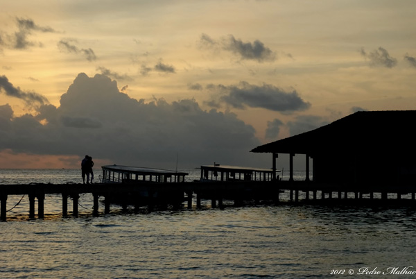 20120313232659_pedromalhao 20120313232659_pedromalhao