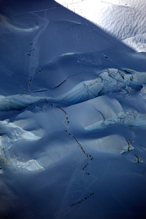 NATURE • Didier Charre NATURE • Didier Charre