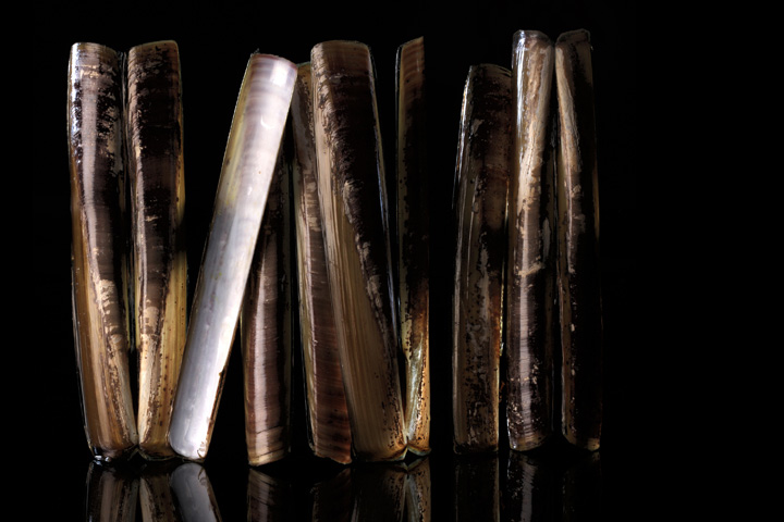 NATURE MORTE • Pierre-François Couderc NATURE MORTE • Pierre-François Couderc