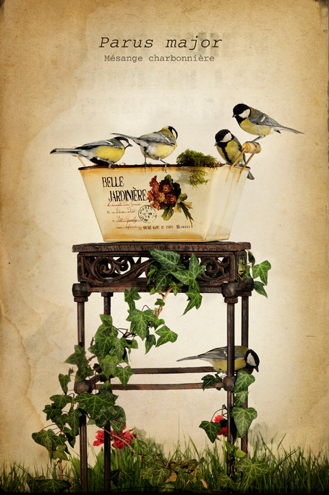 CREATION NUMERIQUE • Stéphane Hette CREATION NUMERIQUE • Stéphane Hette