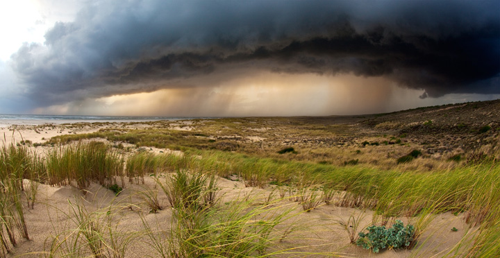 PAYSAGE • Frédéric Ruault  PAYSAGE • Frédéric Ruault
