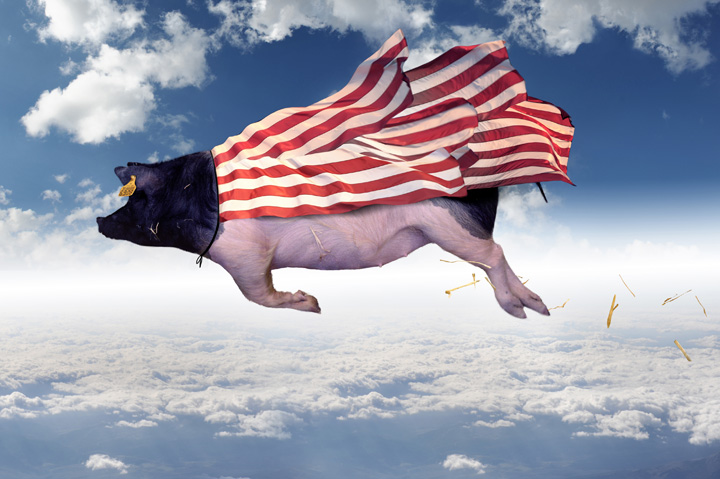 CREATION NUMERIQUE • Thomas Subtil CREATION NUMERIQUE • Thomas Subtil