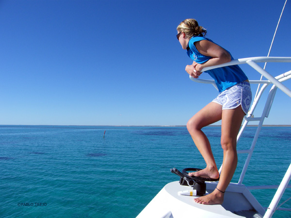 20120315114658_la_skippeuse_de_coral_bay 20120315114658_la_skippeuse_de_coral_bay