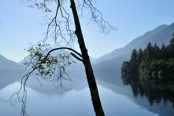 20120318185319__l020746 20120318185319__l020746