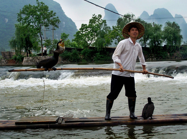 20120319110145_rd___la_peche_au_cormoran 20120319110145_rd___la_peche_au_cormoran