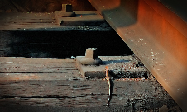 20120319133028_dsc_1470_50_filtered 20120319133028_dsc_1470_50_filtered