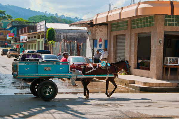 20120319165154_livreur_tela_honduras_fevrier_2012