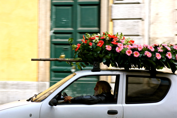 20120321130102_img_1451 20120321130102_img_1451