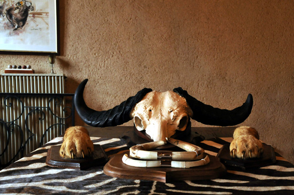 20120321152117_trophets 20120321152117_trophets