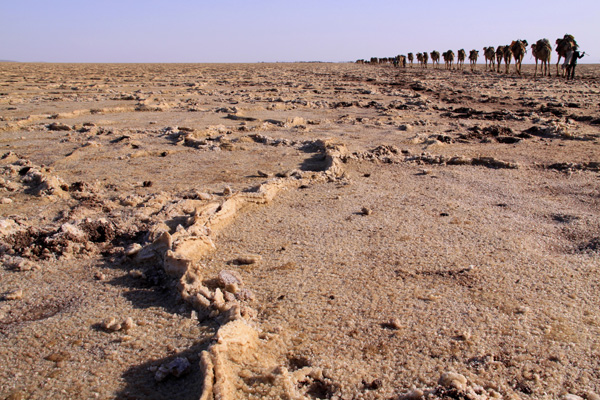 20120325153259_7_amedial_regueb 20120325153259_7_amedial_regueb