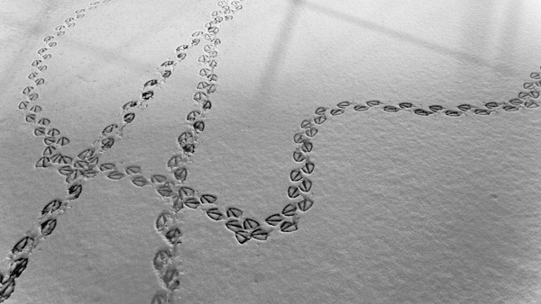 20120324205702_img_7166_dx2 20120324205702_img_7166_dx2