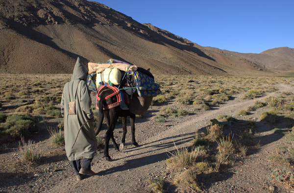 20120326222656__mg_0731 20120326222656__mg_0731