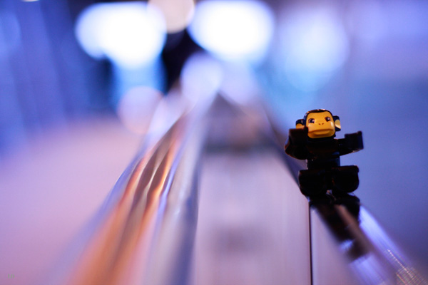 20120327195835__mg_7859 20120327195835__mg_7859