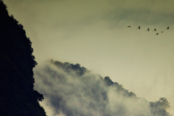 20120330112400_lost_in_laos 20120330112400_lost_in_laos