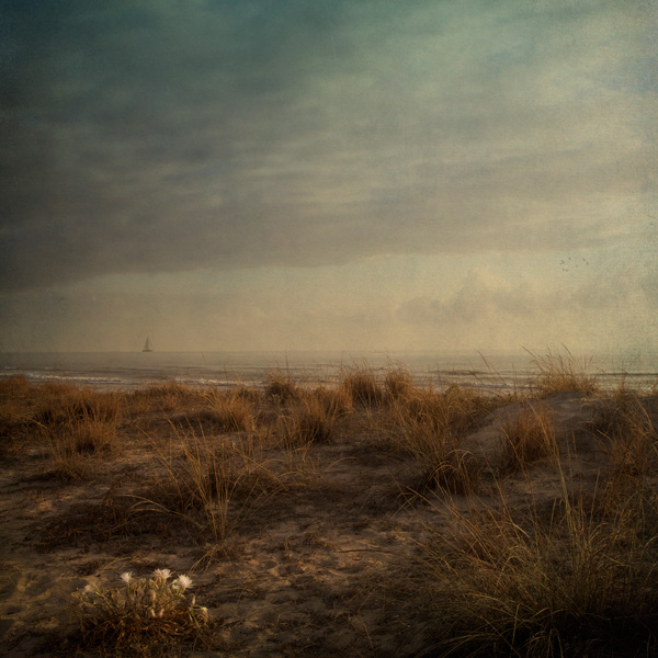 20120401171933_au_loin 20120401171933_au_loin