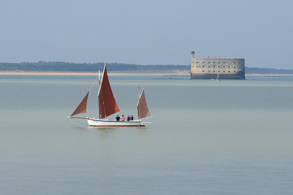 20120403195223_img_0481 20120403195223_img_0481