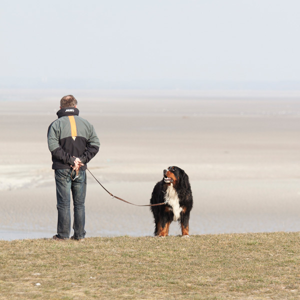 20120404124058_regards_de_voyageurs 20120404124058_regards_de_voyageurs