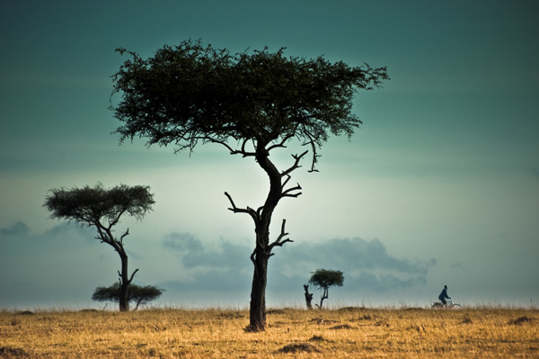 20120403145320_davidpaire 20120403145320_davidpaire