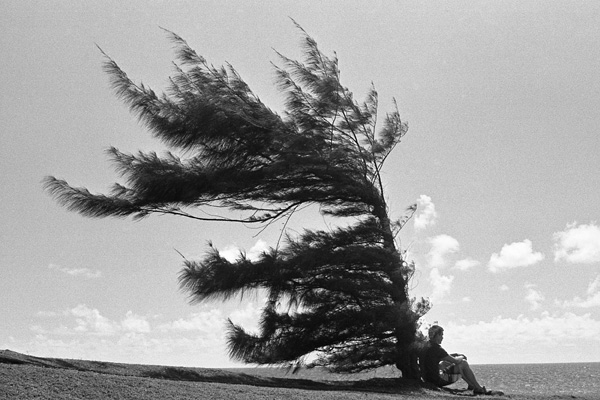 20120404001727_img001_2500 20120404001727_img001_2500