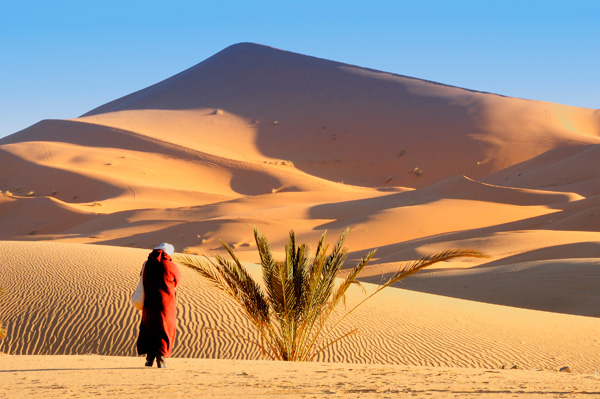 20120405134320__bje4608_alone_3000x2000 20120405134320__bje4608_alone_3000x2000