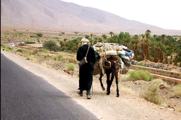 20120405144226_0068br 20120405144226_0068br