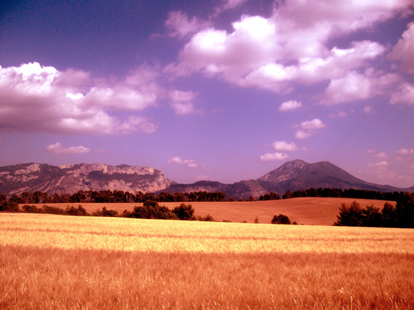 20120405203603_ii 20120405203603_ii