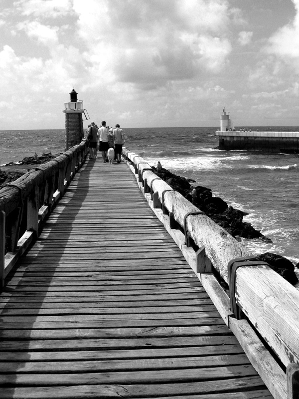 20120406135546_img_0497_copie 20120406135546_img_0497_copie