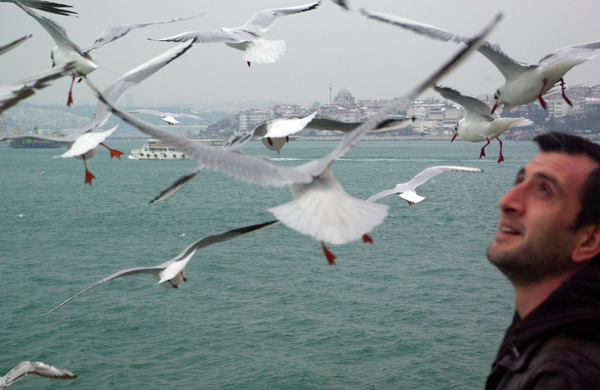 20120406184542_voyageur 20120406184542_voyageur