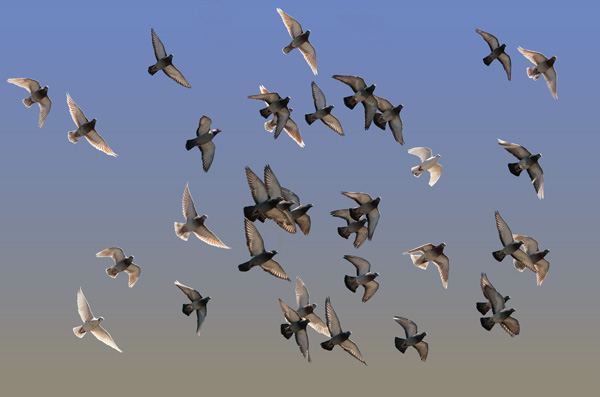 20120407101534_les_voyageurs 20120407101534_les_voyageurs