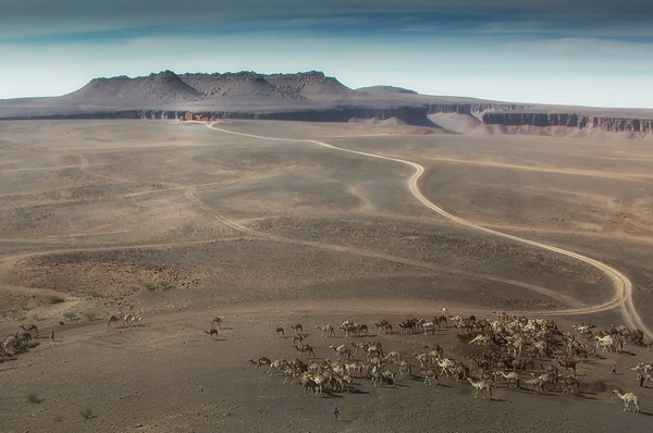 20120405202511_dscn1160_modifier_modifier_modifier 20120405202511_dscn1160_modifier_modifier_modifier