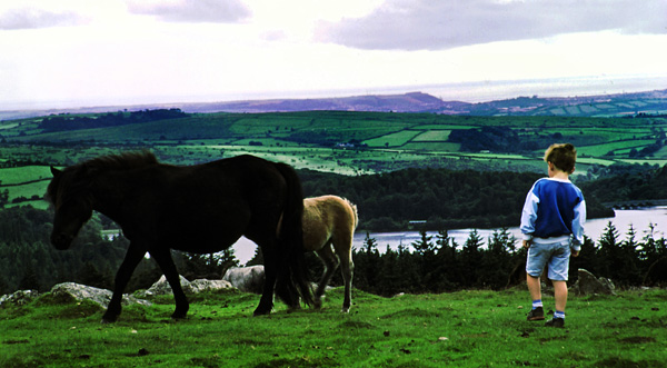 20120408200209_devon_1986_orsal_didier 20120408200209_devon_1986_orsal_didier