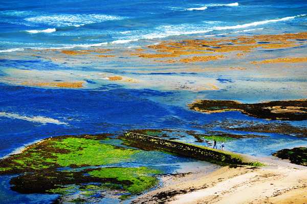 20120408202929_re_2010_b_orsal 20120408202929_re_2010_b_orsal