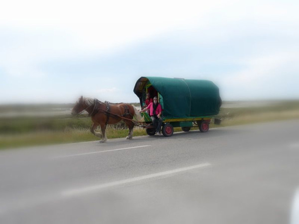 20120408214249_p1020631_fp 20120408214249_p1020631_fp