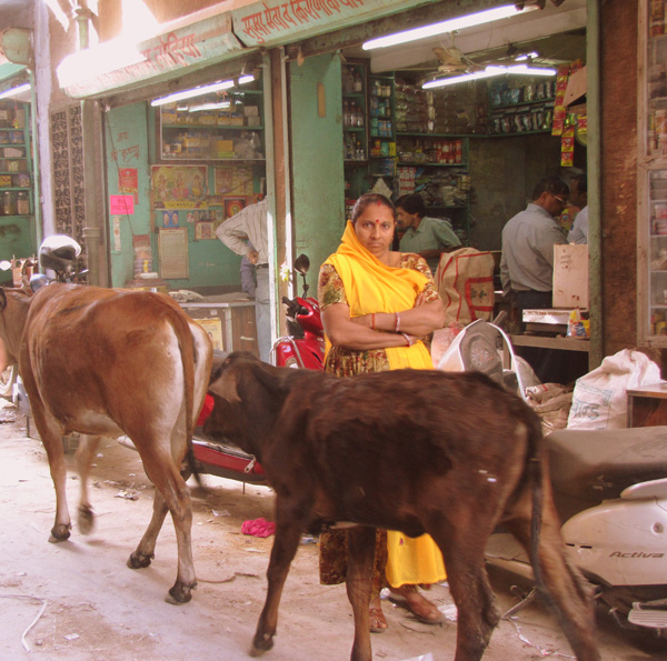 20120409101845_regard_sur_l_occident 20120409101845_regard_sur_l_occident