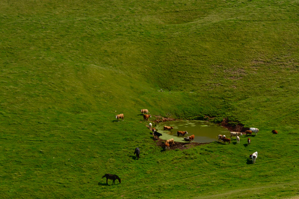 20120409183308_big_hill_1 20120409183308_big_hill_1