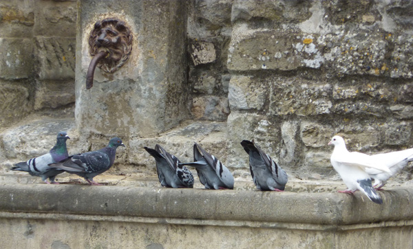 20120409200609_p1010317 20120409200609_p1010317