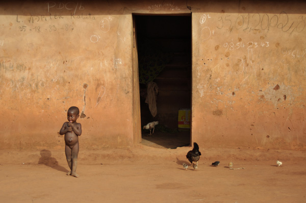 20120409222727_african_chicks 20120409222727_african_chicks