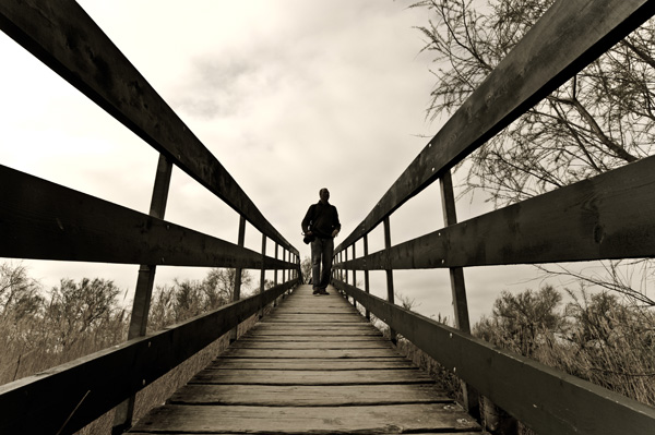 20120410010948_camargue_3__1_sur_1_ 20120410010948_camargue_3__1_sur_1_