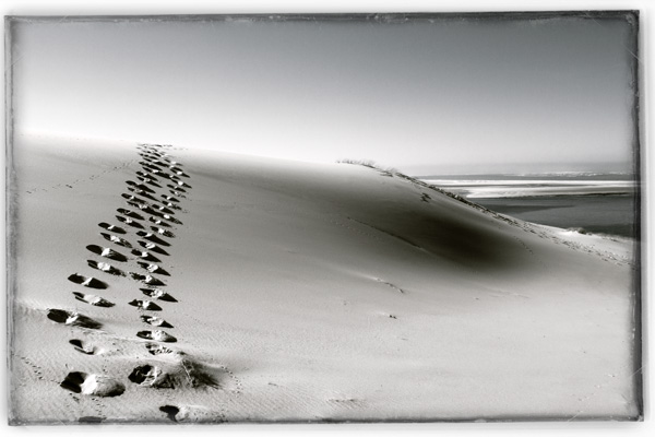 20120409230315_dune_du_pyla_nb_023  20120409230315_dune_du_pyla_nb_023