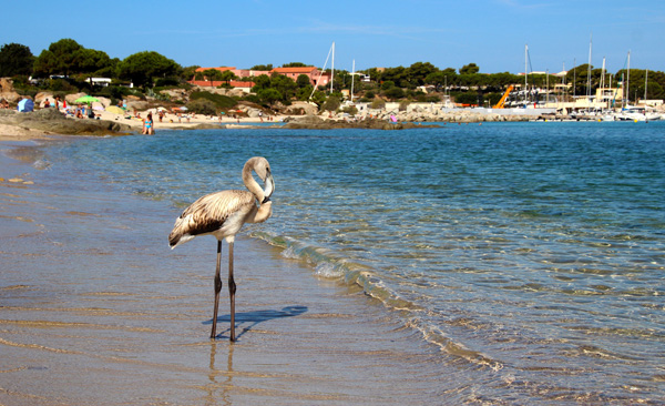 20120410115248_img_0234 20120410115248_img_0234