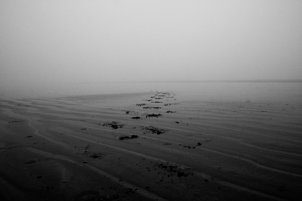 20120410215611_competence_photo 20120410215611_competence_photo