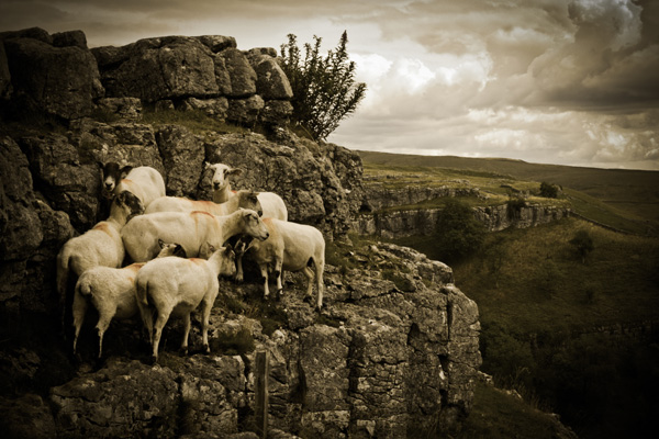 20120410235220_img_1922_lr 20120410235220_img_1922_lr