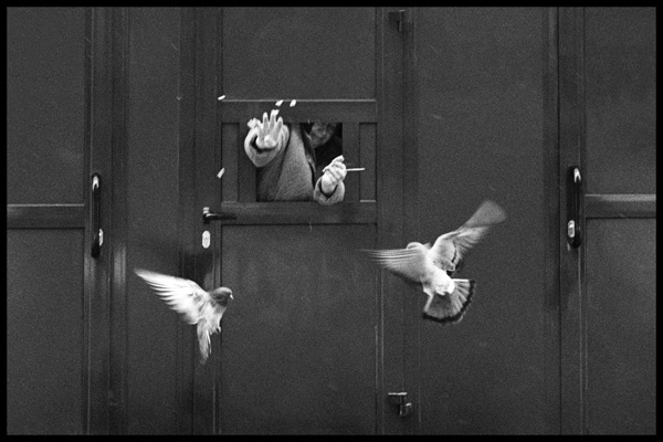 20120410185555_1720_8_ukrurb 20120410185555_1720_8_ukrurb