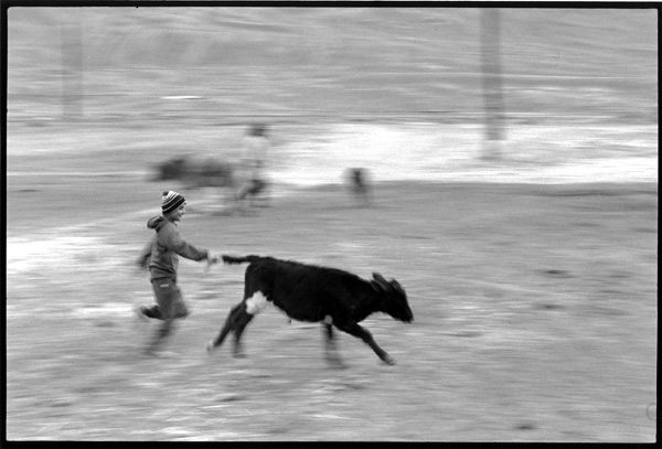 Marc Mangin Marc Mangin