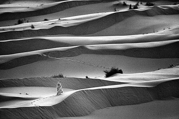 Claude Periez Claude Periez