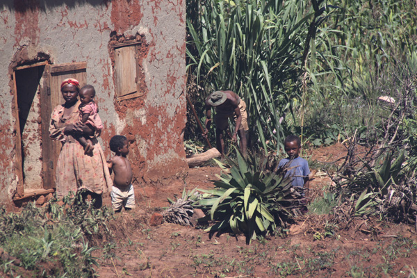 20120514222756_madagascar_139 20120514222756_madagascar_139